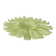 Contemporary Venetian Sunflwer Murano Glass Green Flush Mount