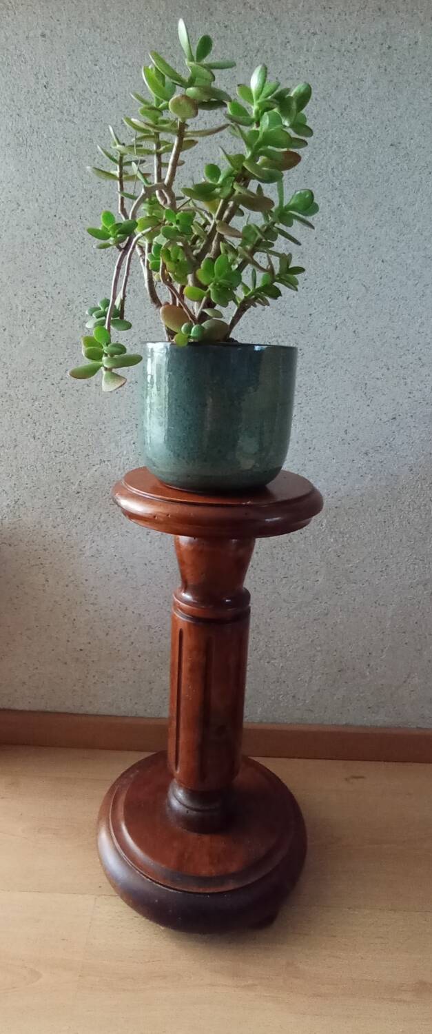 Varnished solid wood plant holder column, rustic chic