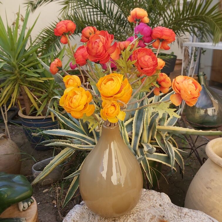 Murano vase in vintage cream brown glass 30 cm