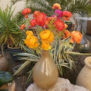 Murano vase in vintage cream brown glass 30 cm