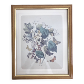 Carde botanique papillon lithographie vintage 3