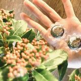 Salt and pepper shakers - 50s