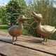 Paire de canards en laiton