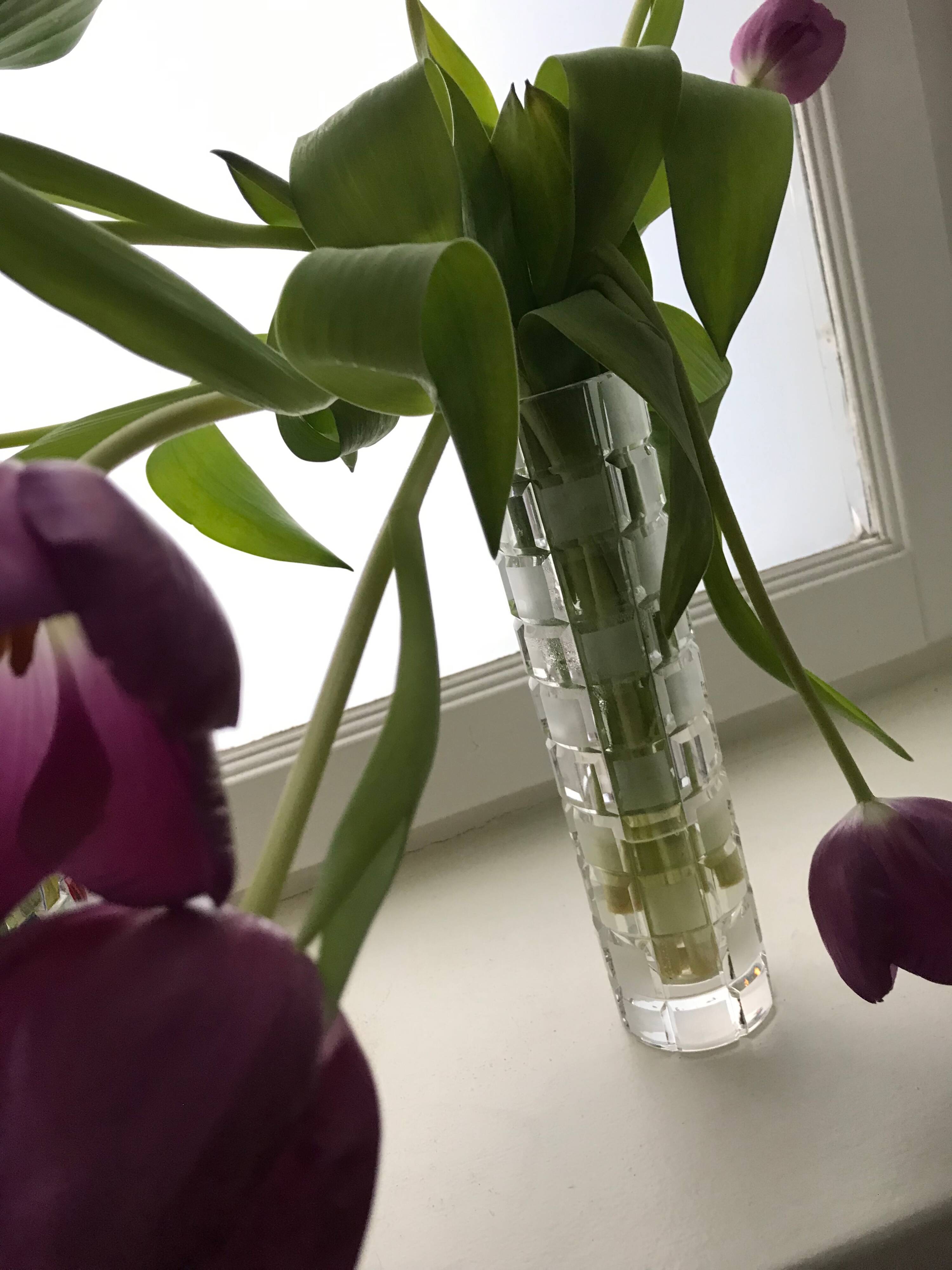 Vintage Vase • Hand Cut Crystal • Bauhaus • Schott Zwiesel • 1950