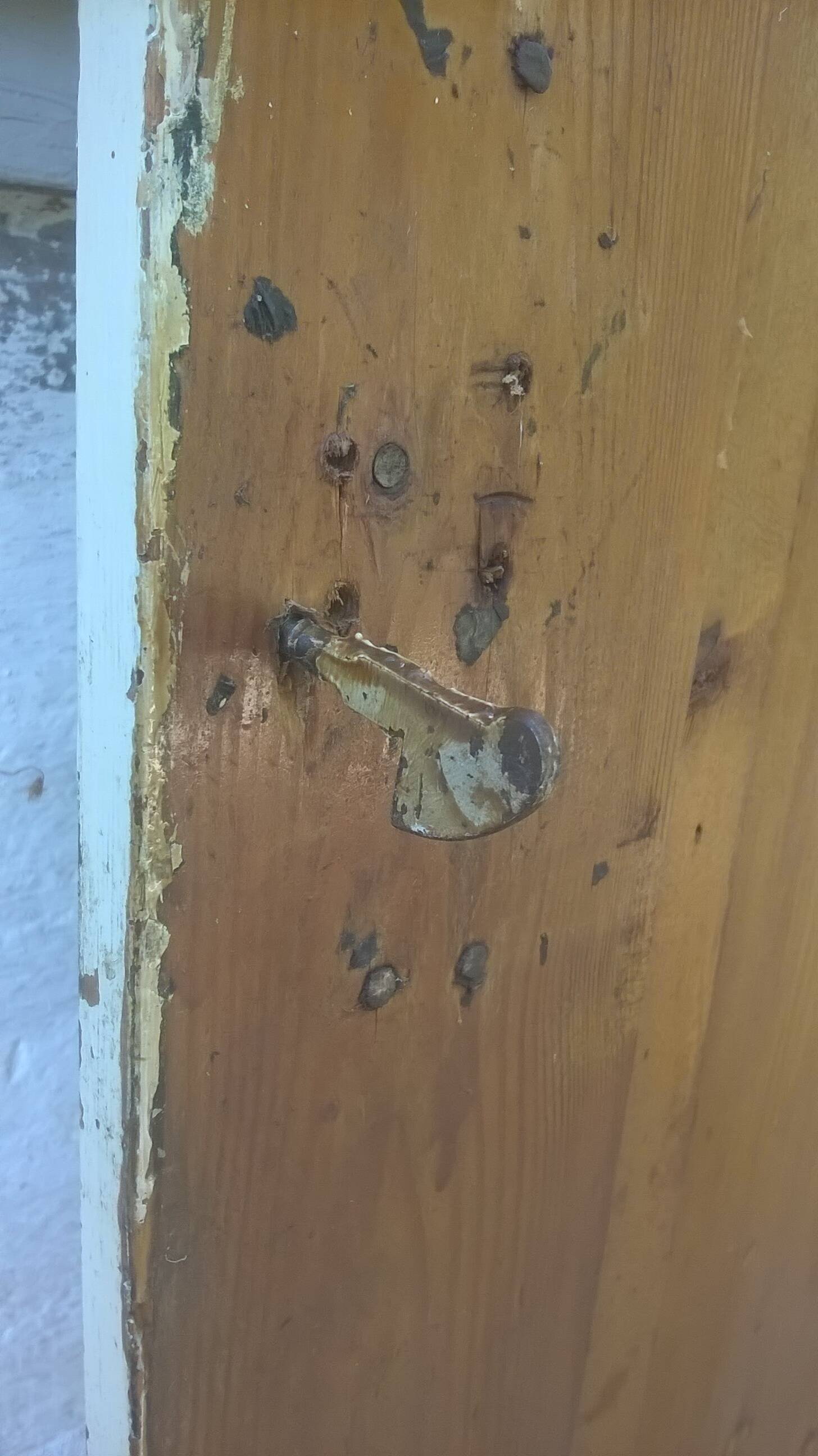 Set of large double old molded cupboard doors