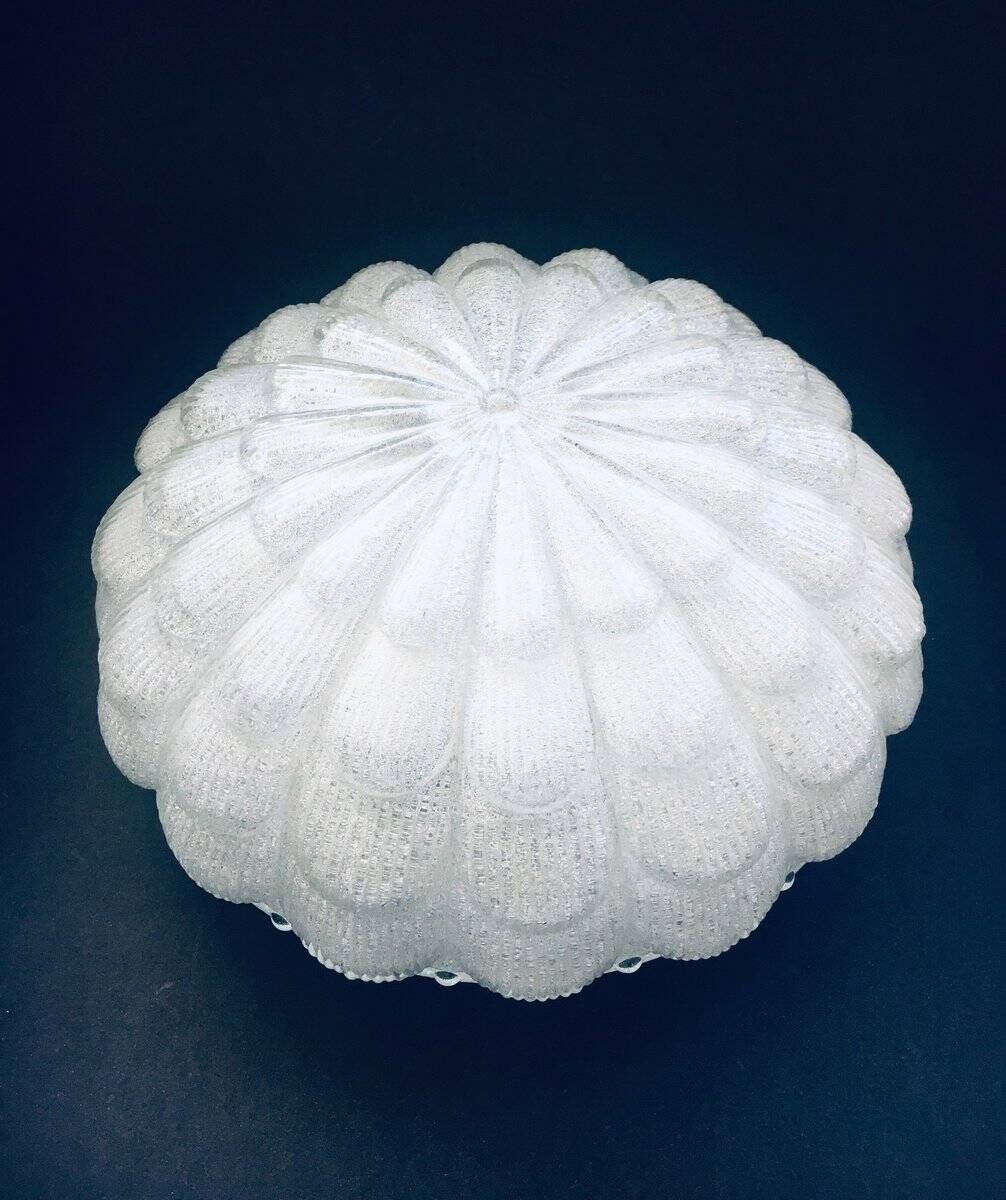 Large Frosted Flower Glass Sconce Wall Lamp from MCM, 1960s