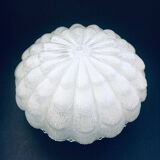 Large Frosted Flower Glass Sconce Wall Lamp from MCM, 1960s