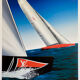 Poster Razzia Louis Vuitton cup Valencia 2007 - Signed by the artist - Large Format - On linen