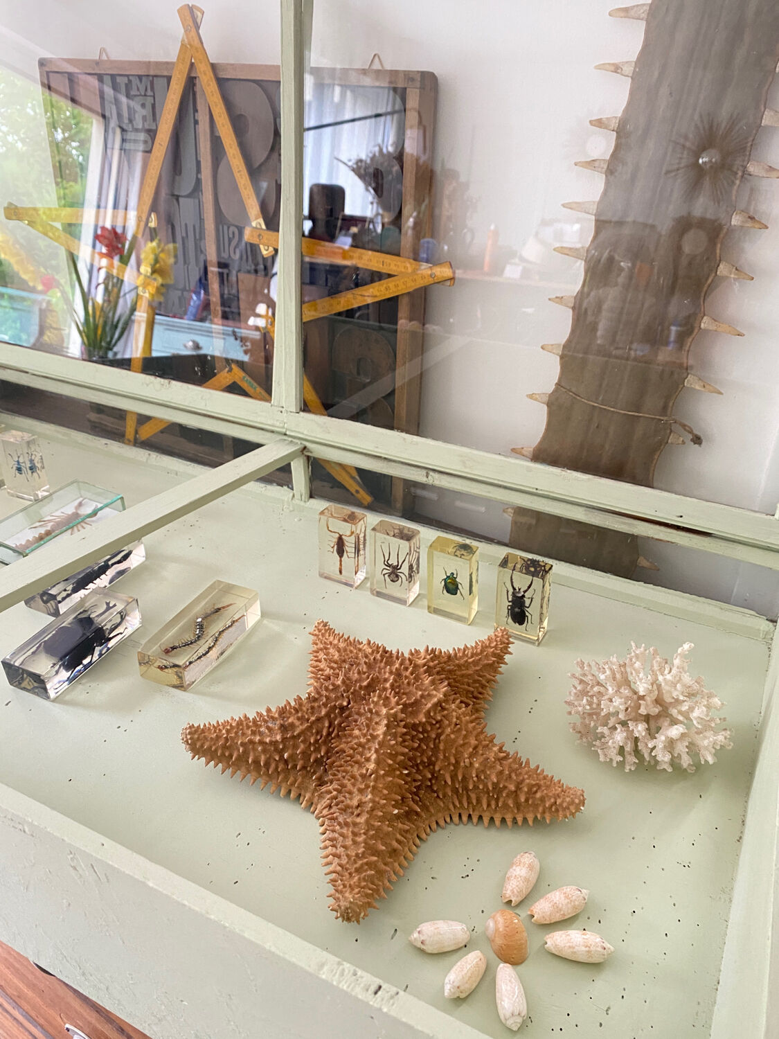 Display case with double glass