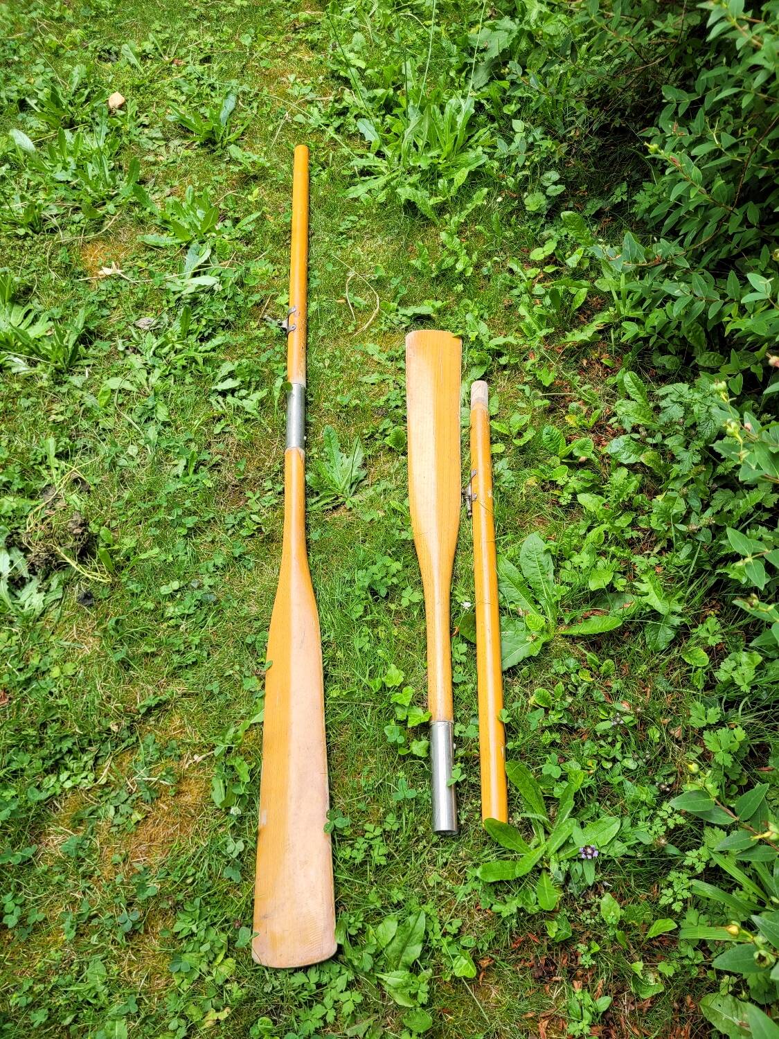 Pair of wooden oars