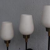 Paire d'appliques en laiton métal et opaline 1960