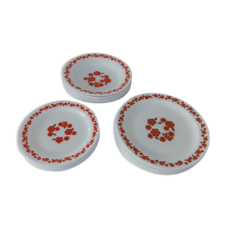 18 plates lotus arcopal vintage orange flowers