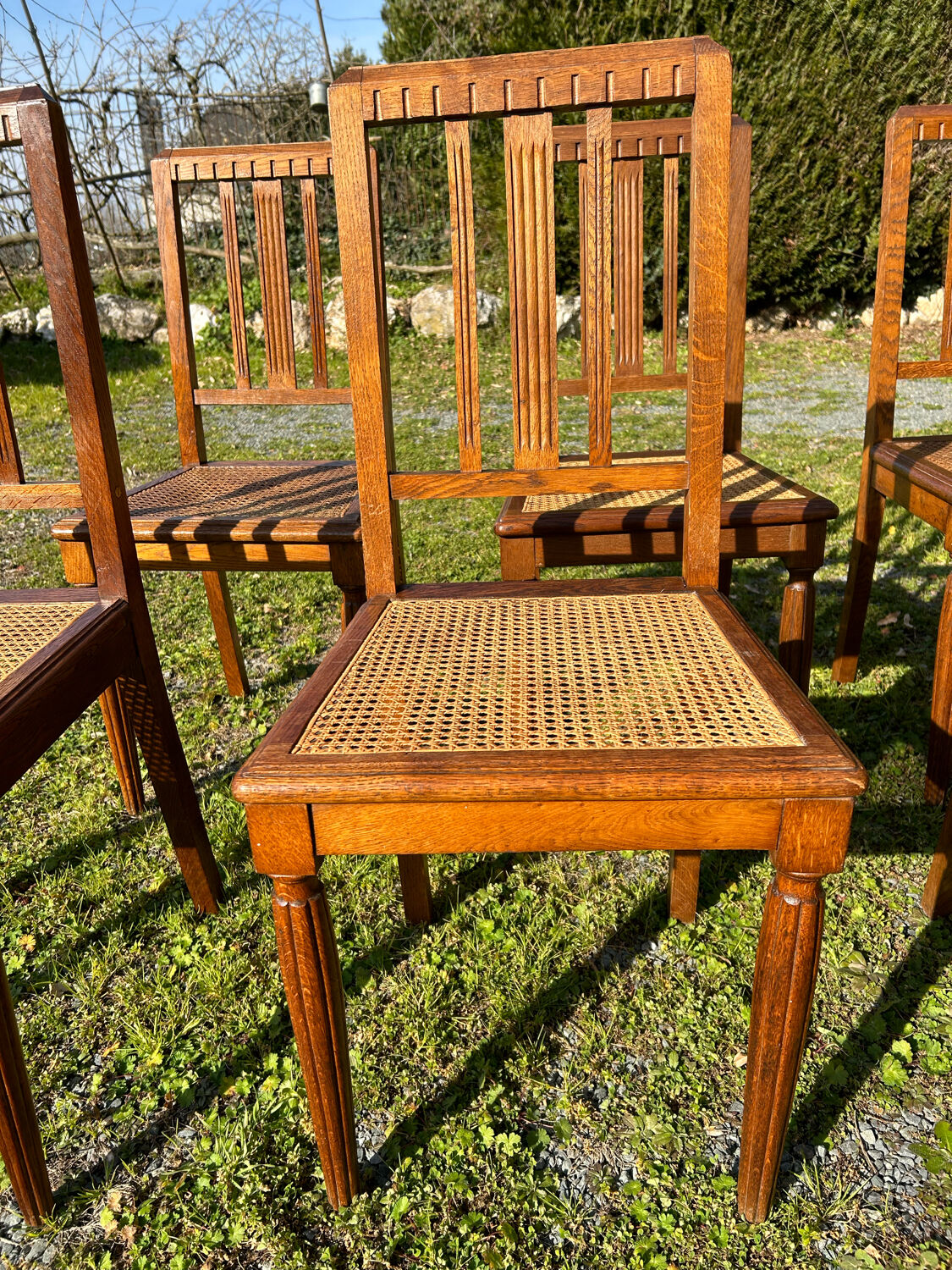 6 chairs tanned oak art deco