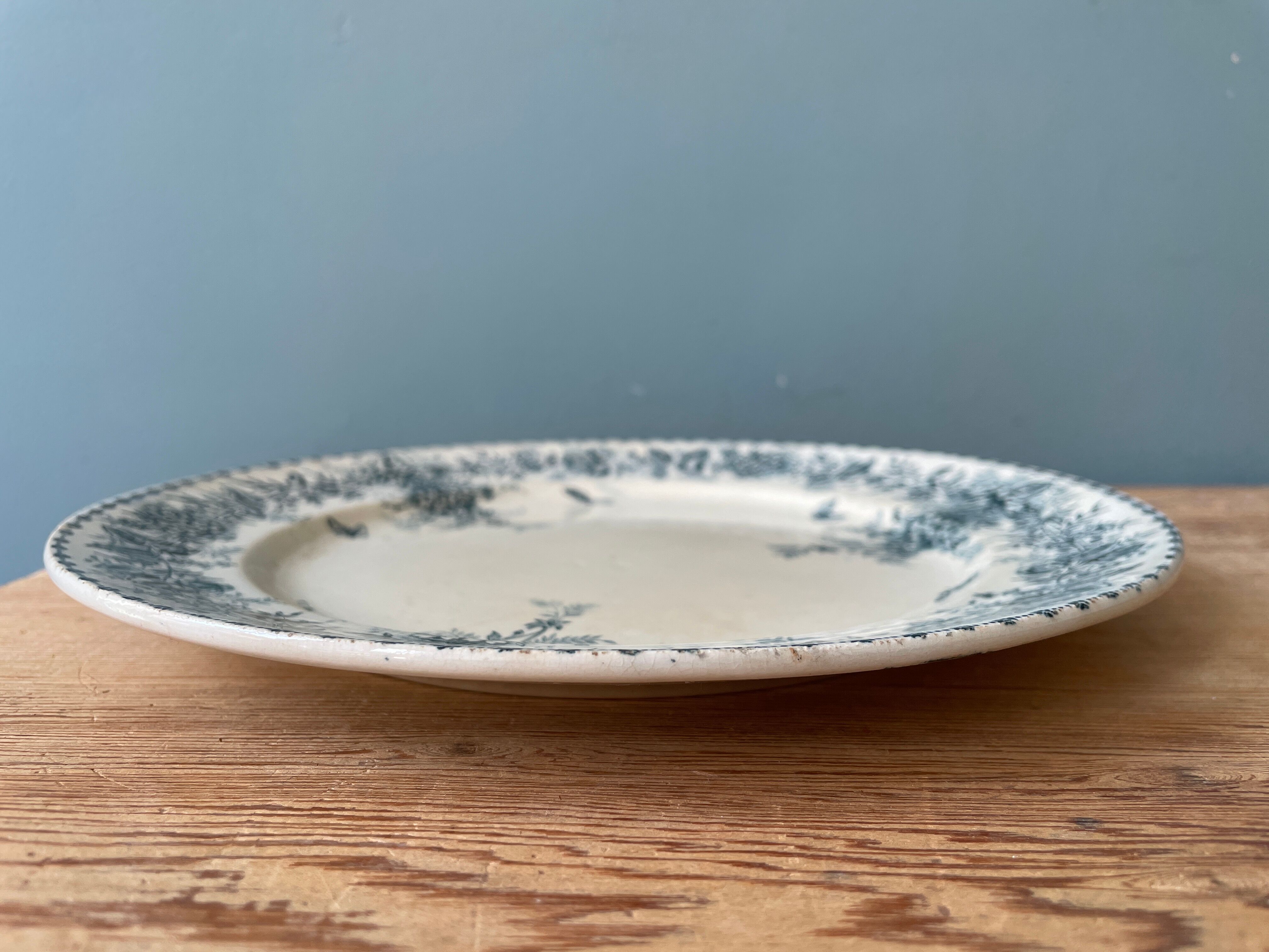Set of 8 flat plates 19th century Terre de Fer, “Stella” Onnaing earthenware