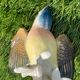 Oiseau numéroté et signé Karl Ens, en porcelaine de Saxe, XIXème siècle