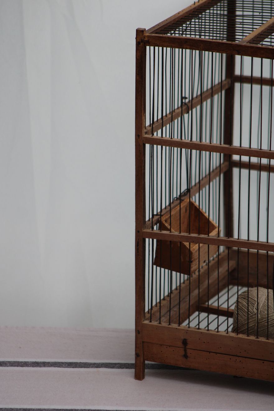 Old wooden bird cage