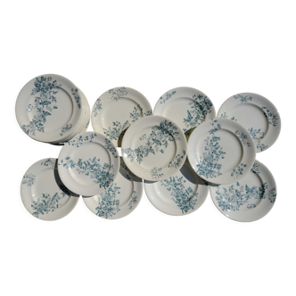 Mignon plates in Longwy earthenware
