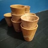 Shots in sandstone