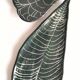 Anthurium dish