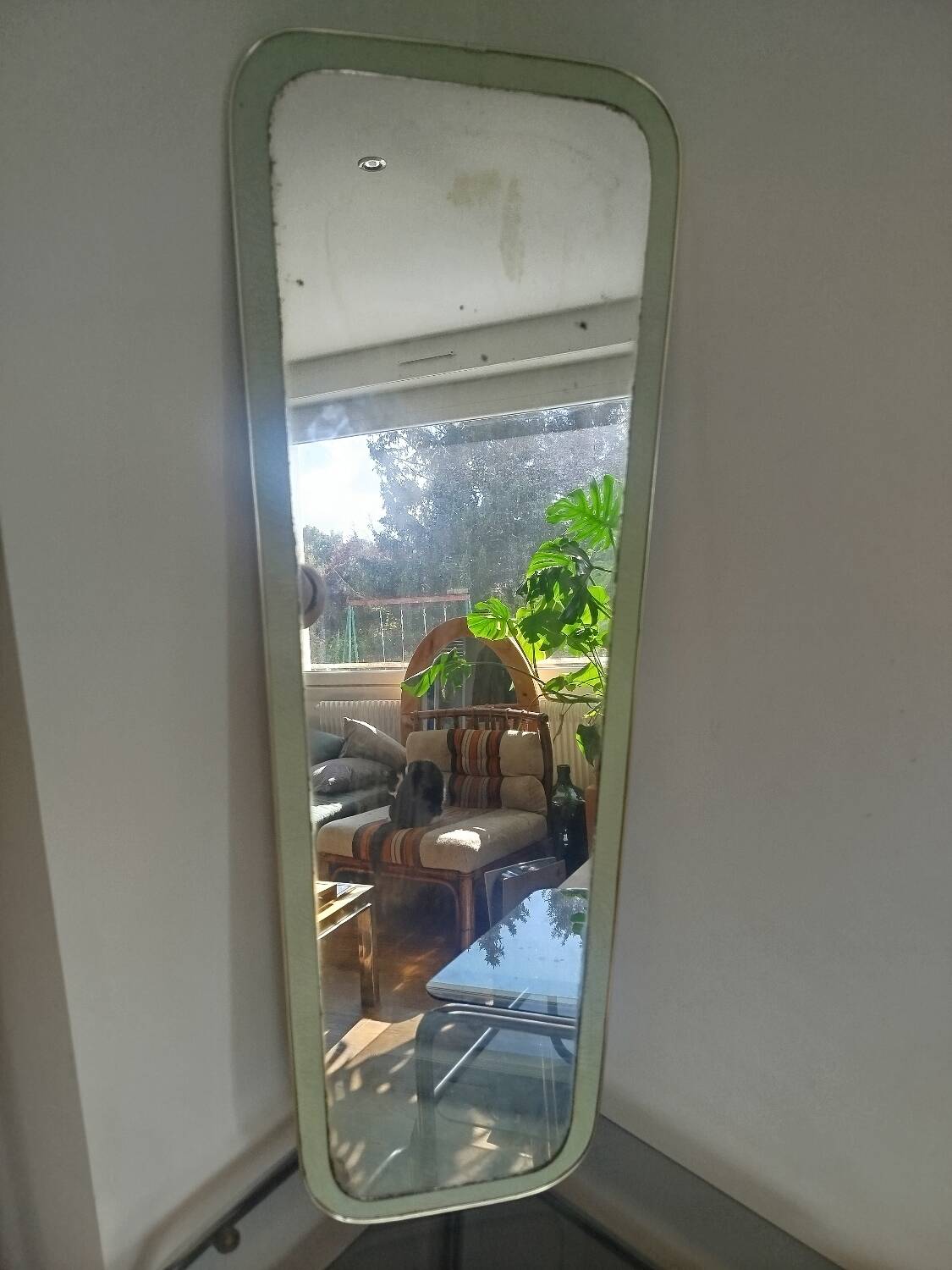 Large vintage rearview mirror from the 50s/60s