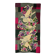 Aubusson tapestry in wool after Michèle Van Hout Le Beau