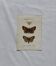 Botanical Plate 1800 Old naturalist engraving 19th century double-sided