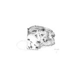 Brioche, original drawing