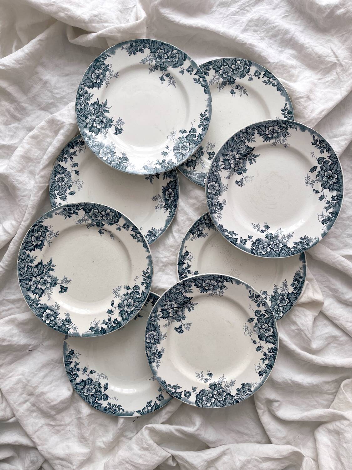 8 flat ironstone plates “Marie Louise” Saint Amand and Hamage