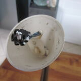 Suspension of years 50-60 in opaline