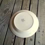 Digoin Sarreguemines plate