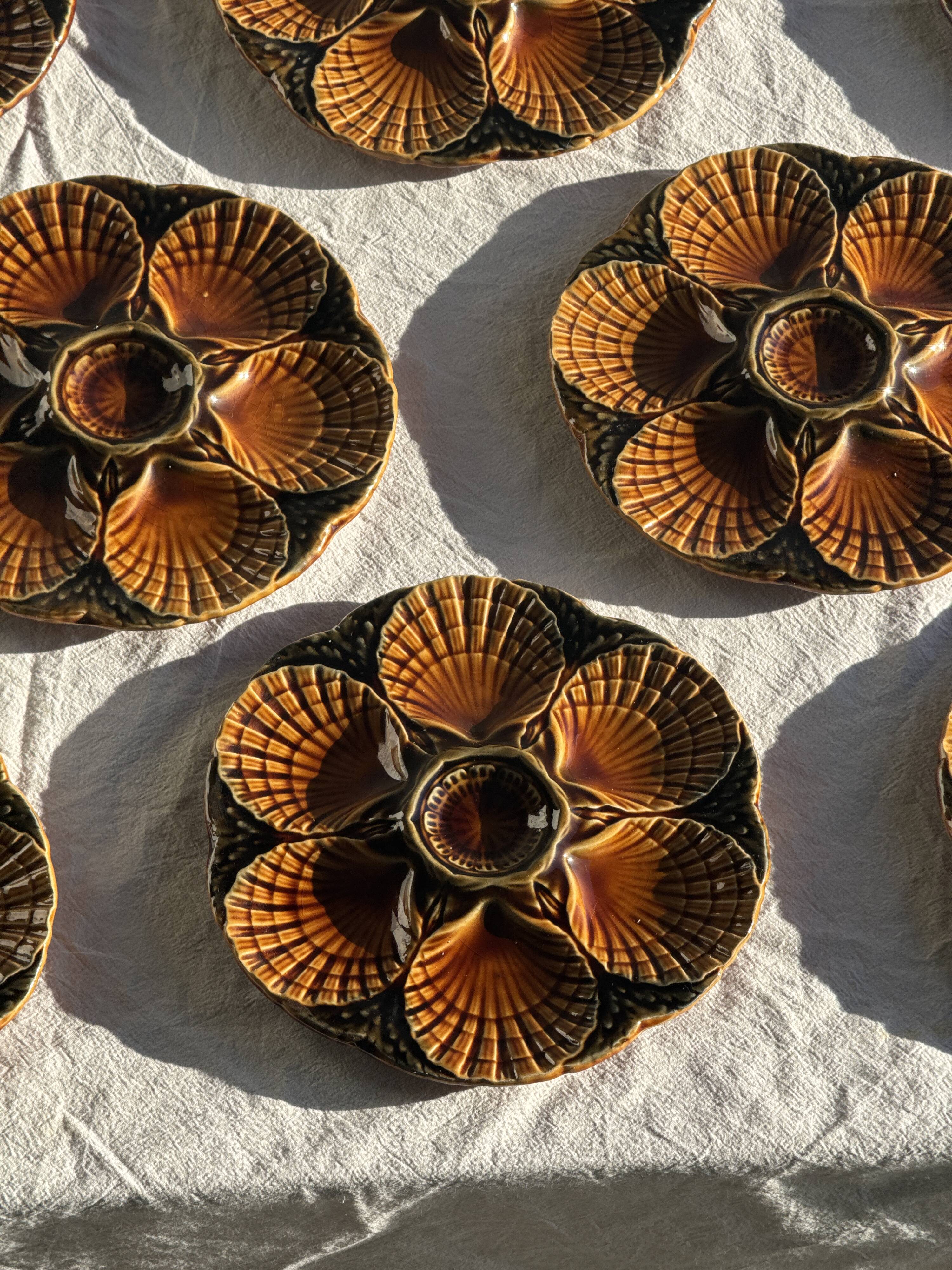 Set of 12 oyster or shell plates in glazed brown ceramic D