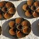 Set of 12 oyster or shell plates in glazed brown ceramic D