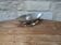 Beautiful stainless steel sauce boat from Guy Degrenne