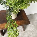 50s Brutalist Oak Coffee Table