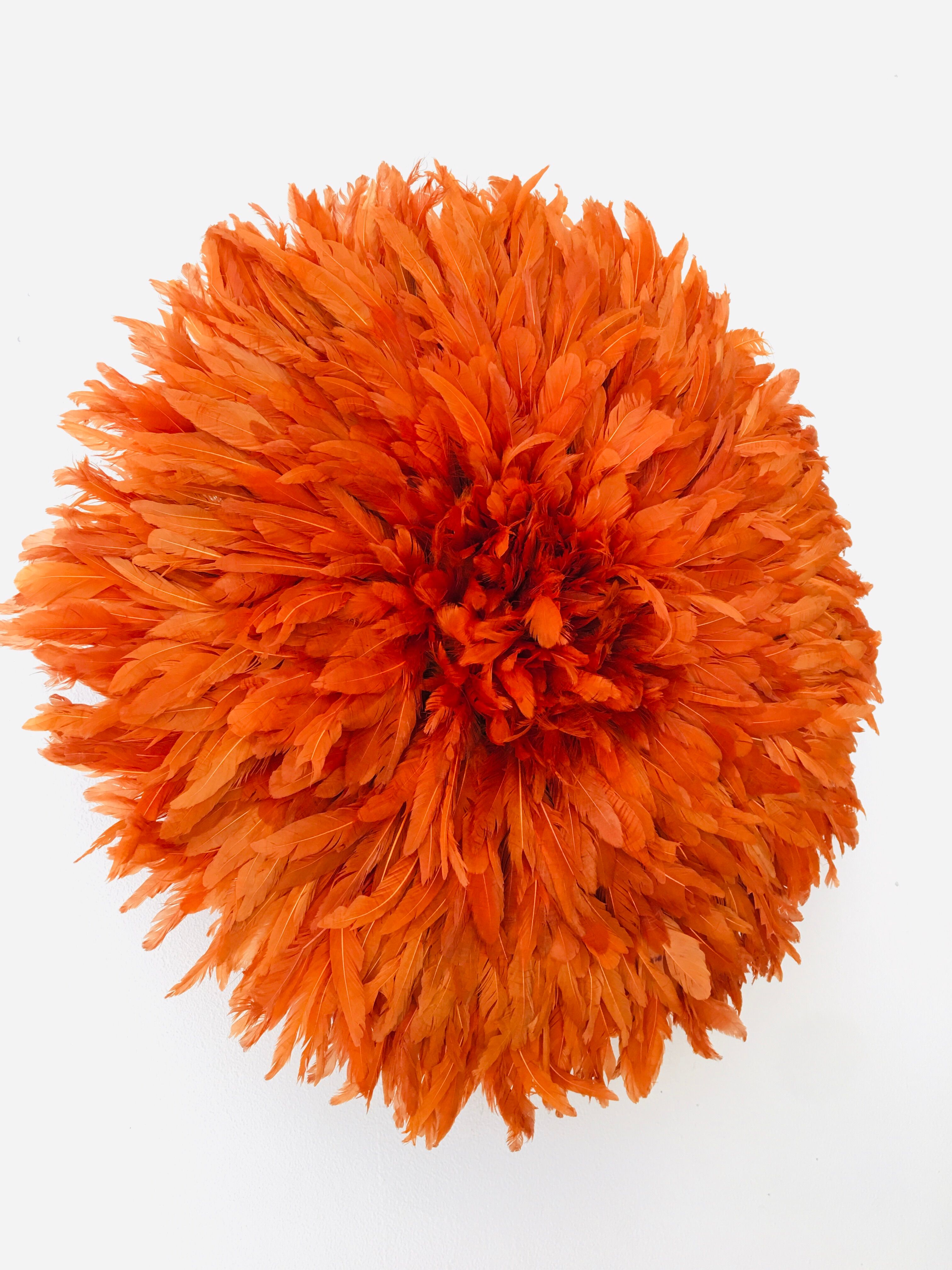 Jujuhat rouille 50 cm