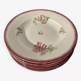 Set of 8 deep iron earth flower plates