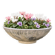 Large antique cement planter