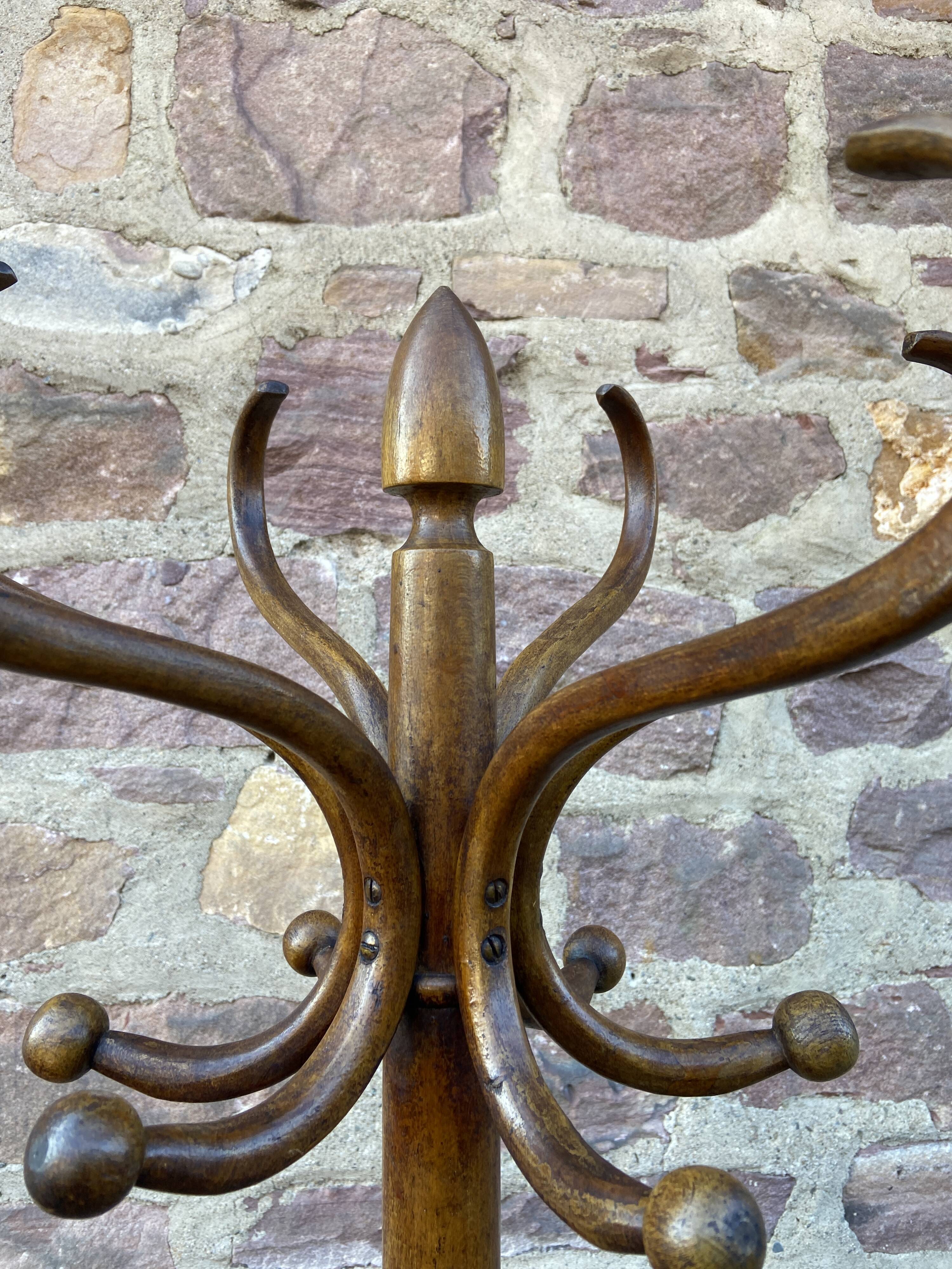 Bentwood coat rack
