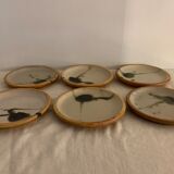 6 small bread plates enamelled pottery of the Vallauris Dove