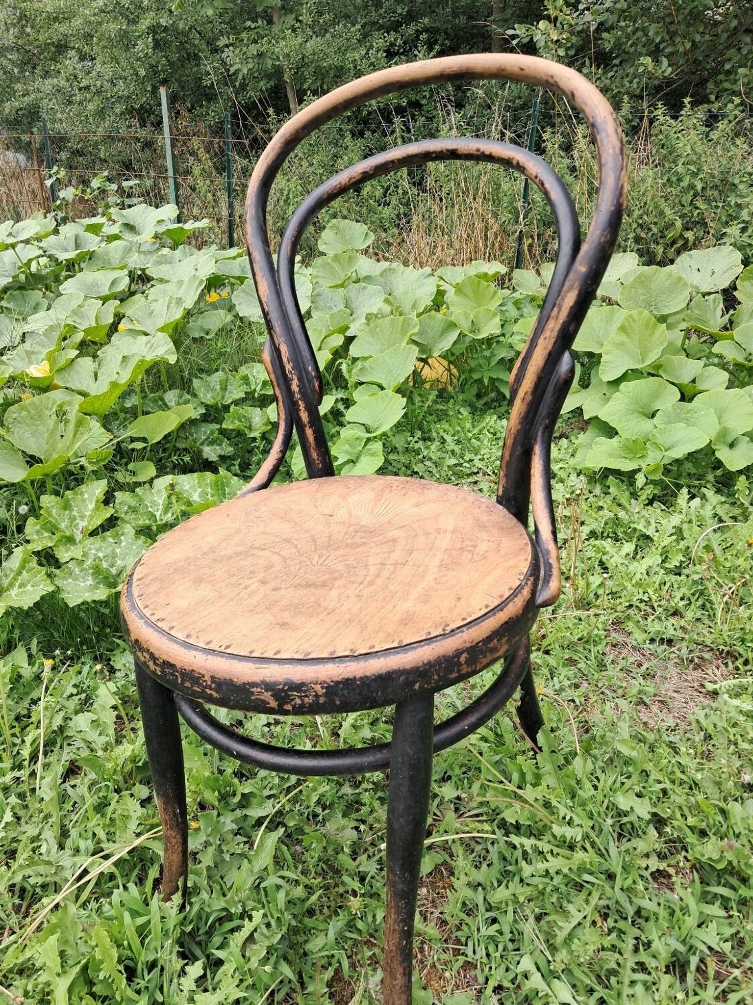 Pair of bistro-style chairs
