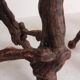 Set of 3 vintage wooden vine bar stools, 1960s