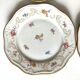 10 assiettes en porcelaine fleurie, veb r reichenbach