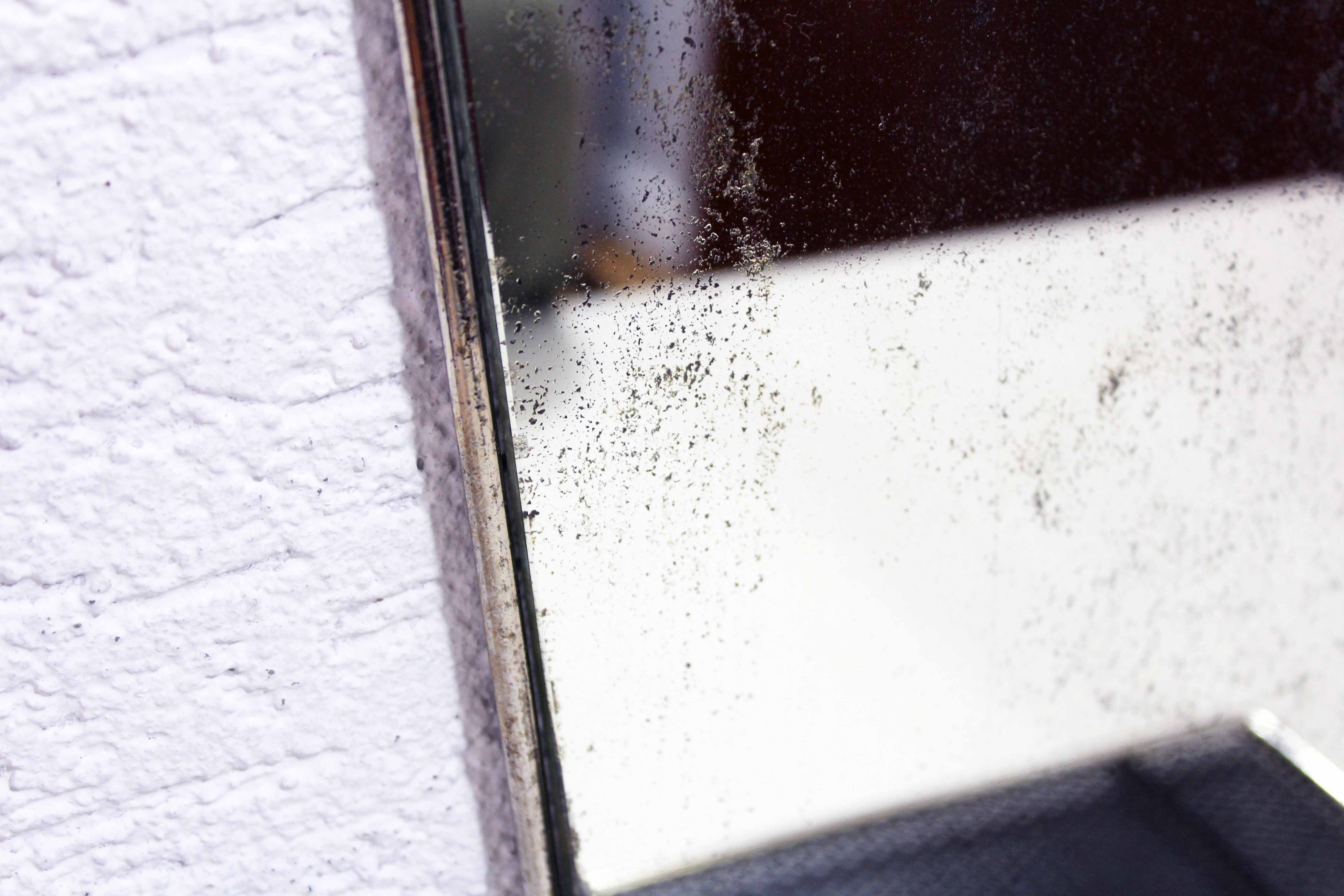 Wall-mounted barber mirror