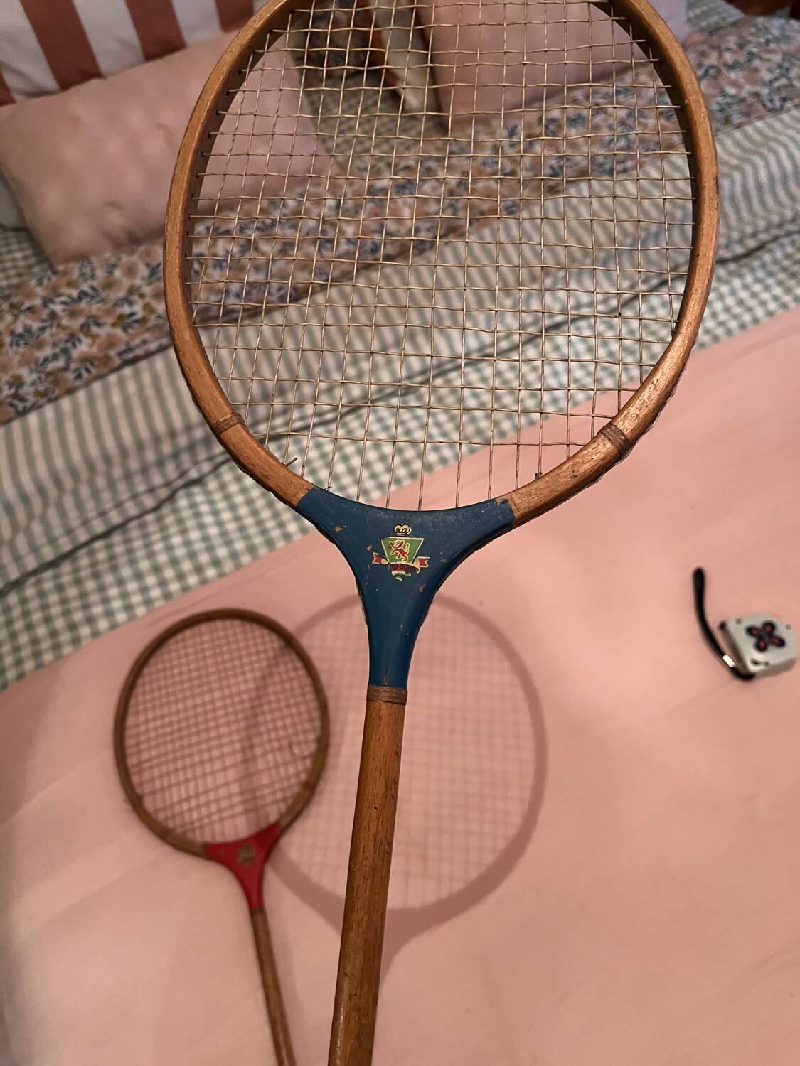 Vintage snowshoes decoration