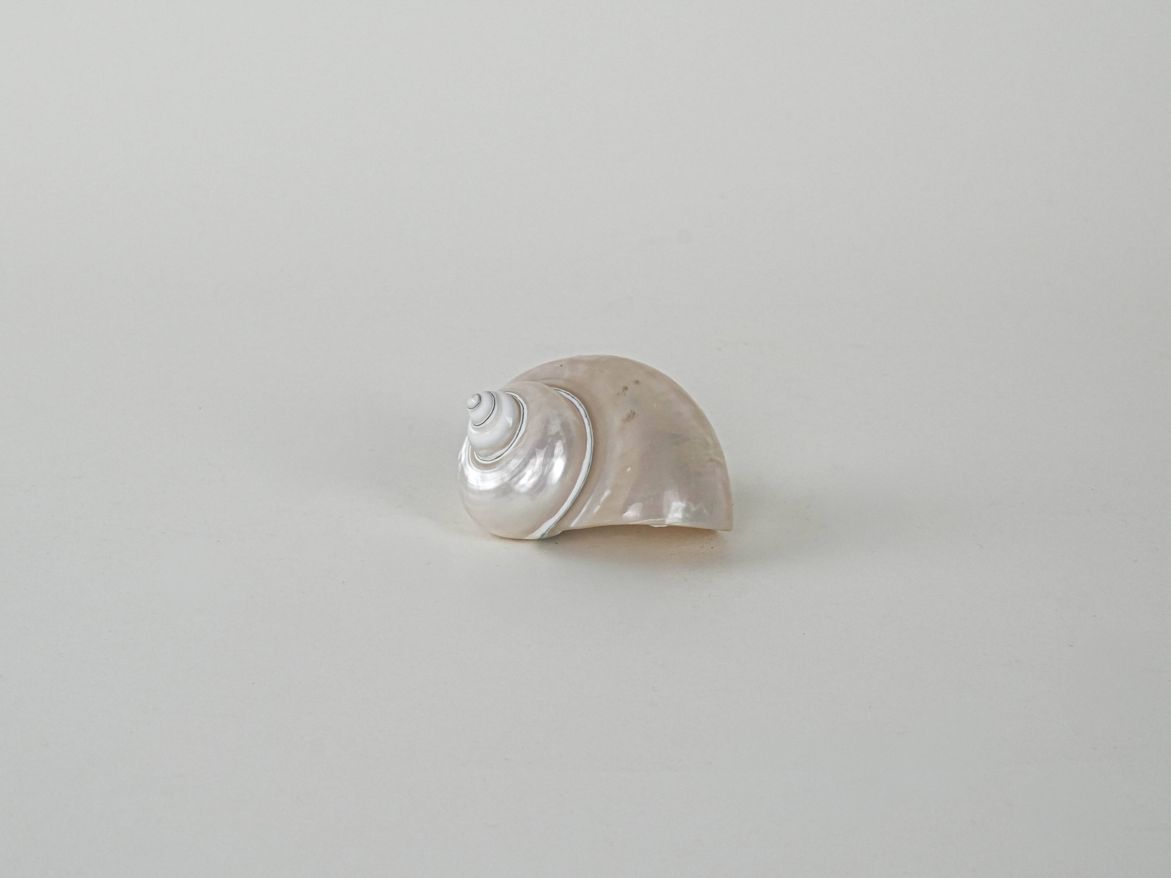 Mother-of-pearl seashell, Italian design, 1970s, made in Italy