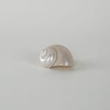 Mother-of-pearl seashell, Italian design, 1970s, made in Italy