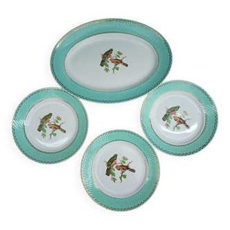 Lot 1 large oval dish and 3 bird plates Green background