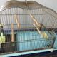 Vintage birdcage
