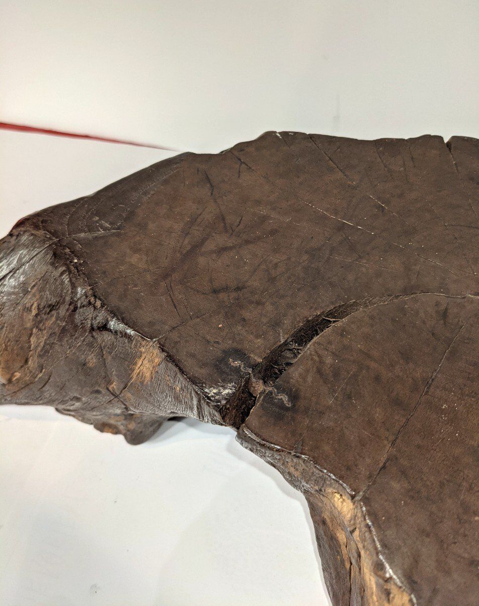 Bonsai base - root - Japan 1930-50 - vintage wabi-sabi - Kare San Sui