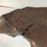 Bonsai base - root - Japan 1930-50 - vintage wabi-sabi - Kare San Sui